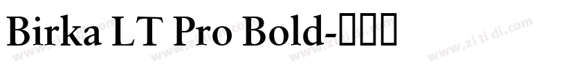 Birka LT Pro Bold字体转换